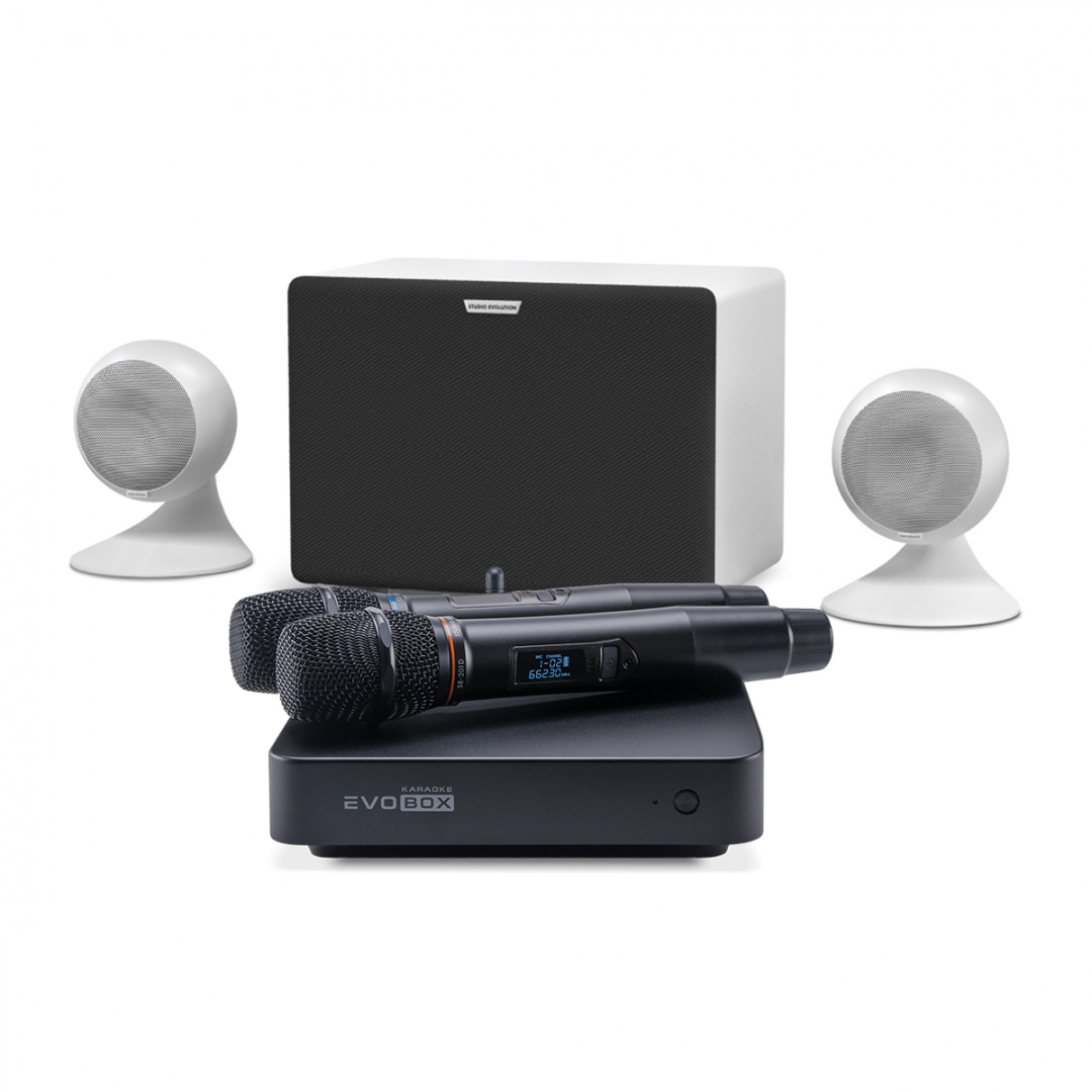 караоке-комплект EVOBOX Classic + EvoSound Sphere 2.1 в Самаре