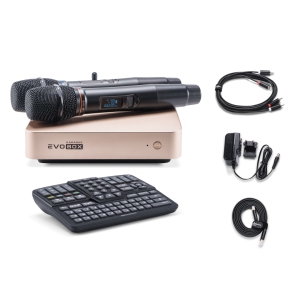 EVOBOX Classic караоке-система для дома в Самаре